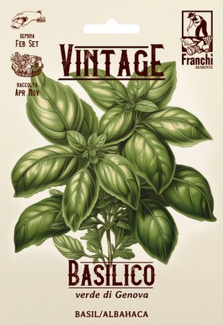 🌿 Basil 'Vintage from Genova' Seeds | Intense Aroma Genovese Basil | Franchi Seeds
