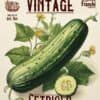 Semina di Maggio: What to Sow NOW