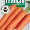The Rainbow Carrot Collection | 5 Italian Heritage Varieties for Ireland