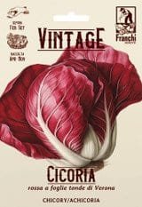 🍷 Radicchio 'Tonda di Verona' Seeds | Round-Leaf Winter Chicory | Franchi Seeds