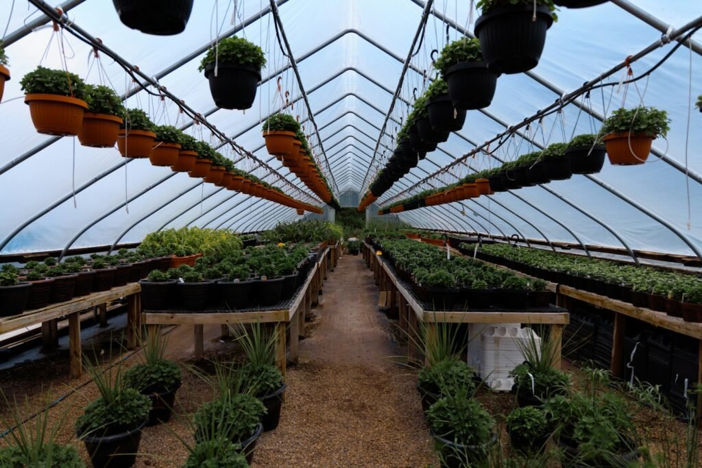 A greenhouse filled with hanging plants.