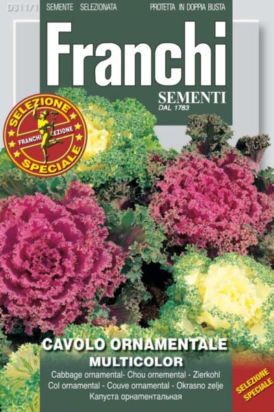 🥬 Ornamental Cabbage Seeds | Winter Colour for Borders | Franchi Seeds