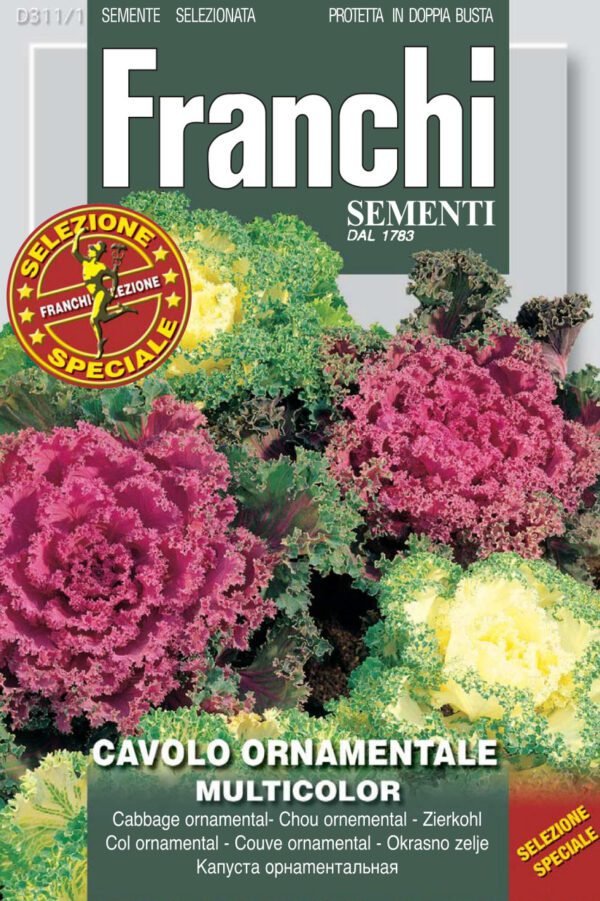 Ornamental Cabbage Seeds | Winter Colour for Borders | Franchi Seeds
