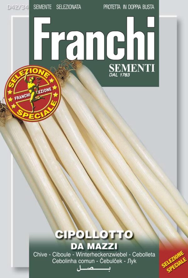 Spring Onion ‘Cipollotti a Mazzo’ Seeds – Bunching Allium fistulosum by Franchi Seeds