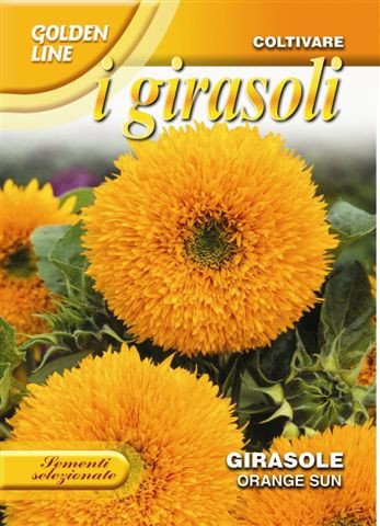 🌻 Sunflower 'Orange Sun' Seeds | Double Orange Puffball Flower | Franchi Seeds
