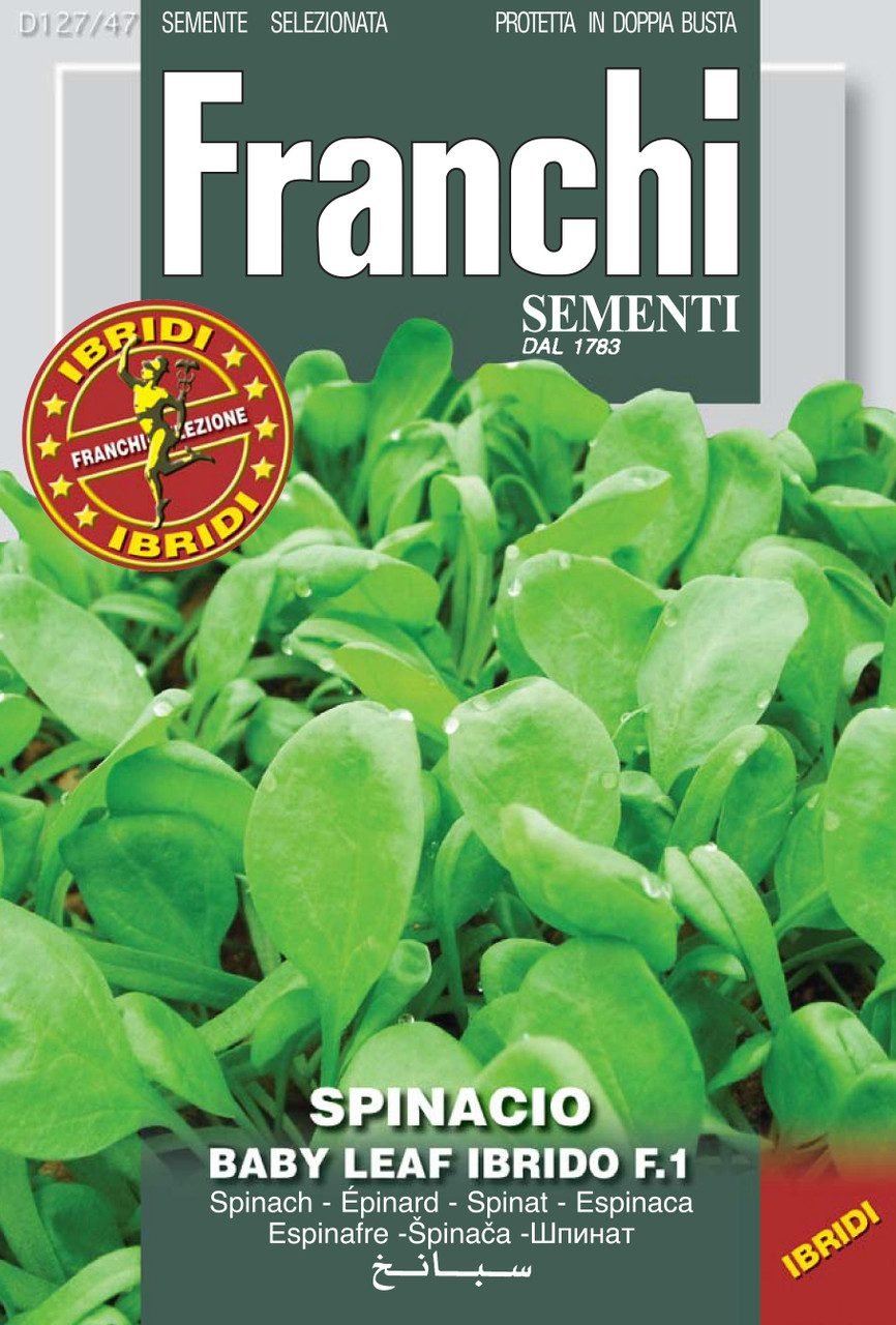 Spinach Baby Leaf F1 Emilia Seeds Franchi Seeds