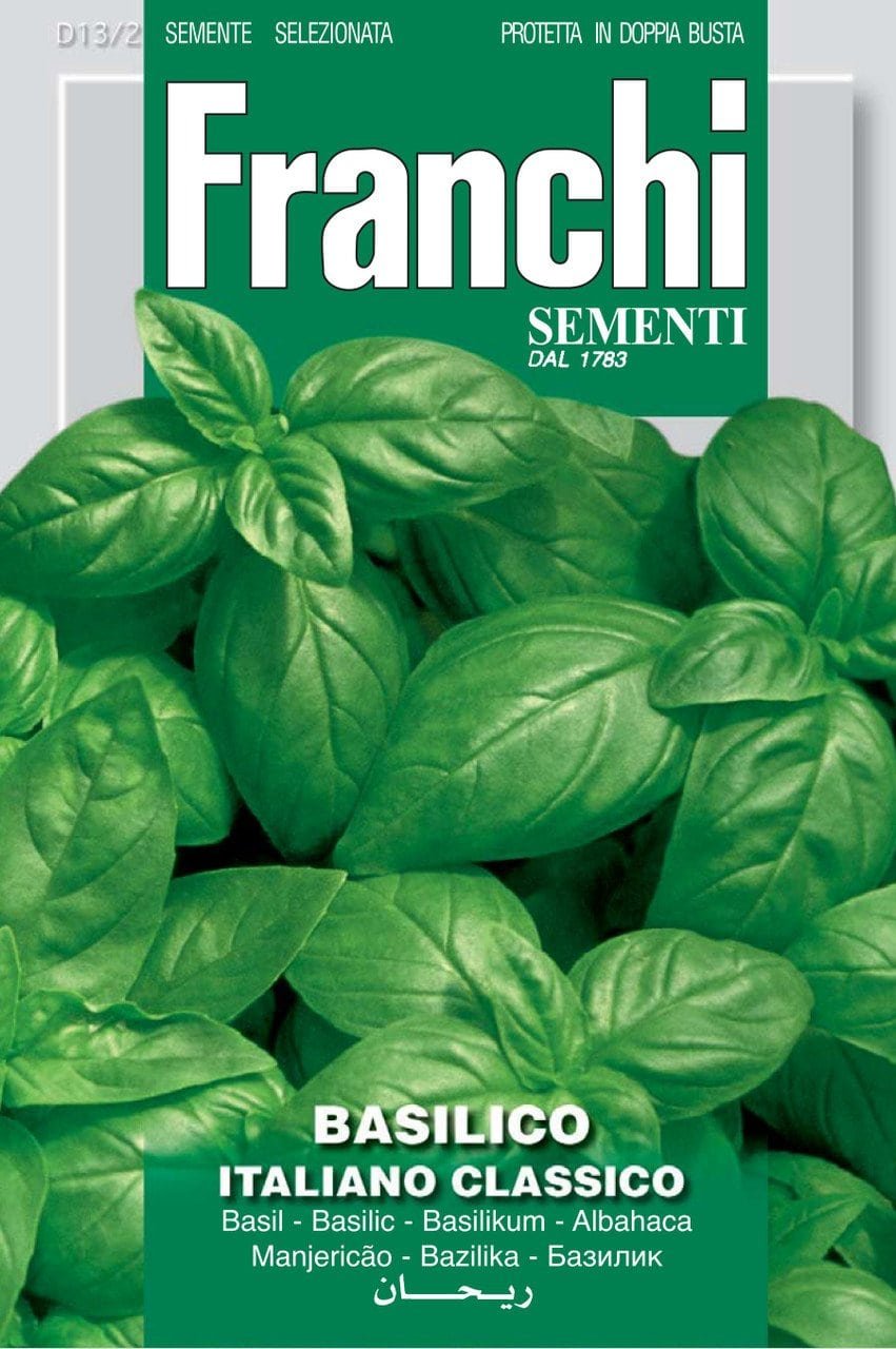 Basil Classico Italiano Seeds Classic Genovese Basil by Franchi Seeds