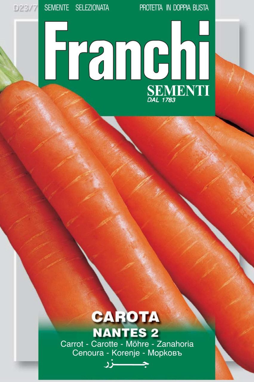 Carrot Nantese di Chioggia Seeds Sweet Cylindrical Roots by Franchi Seeds