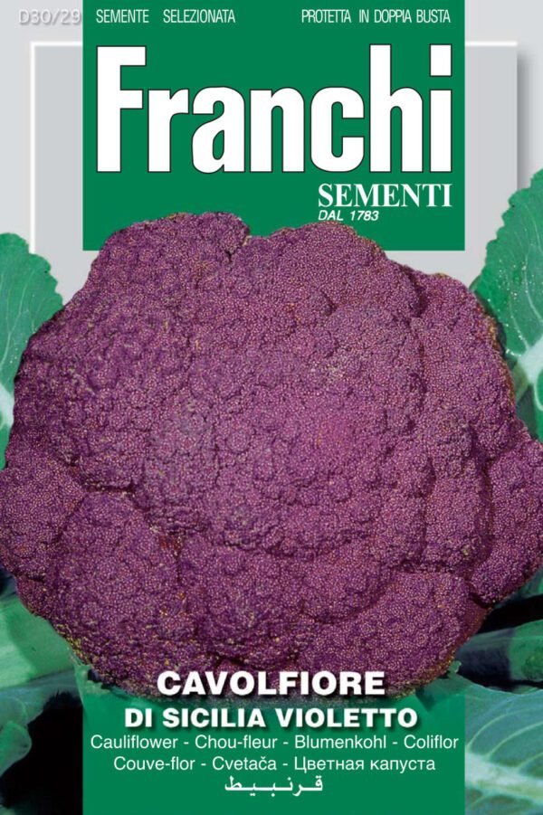 Cauliflower 'Violetto di Sicilia' Seeds | Purple Sicilian Cauliflower | Franchi Seeds