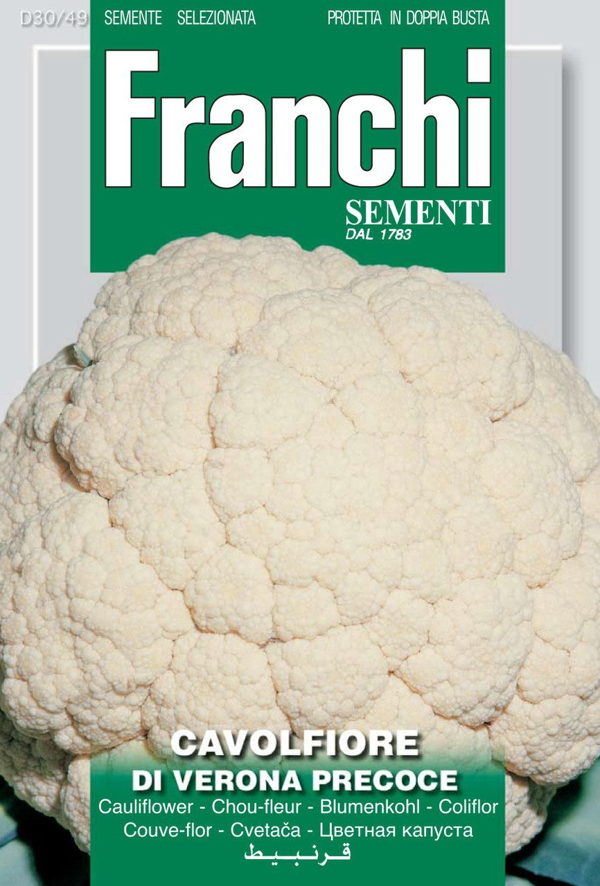 Cauliflower 'Of Verona Precoce' Seeds Early Heritage Cauliflower