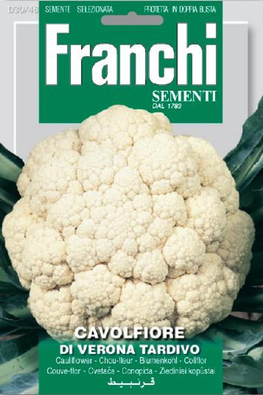 Cauliflower 'Verona Tardivo' Seeds | Late Winter Heritage Cauliflower