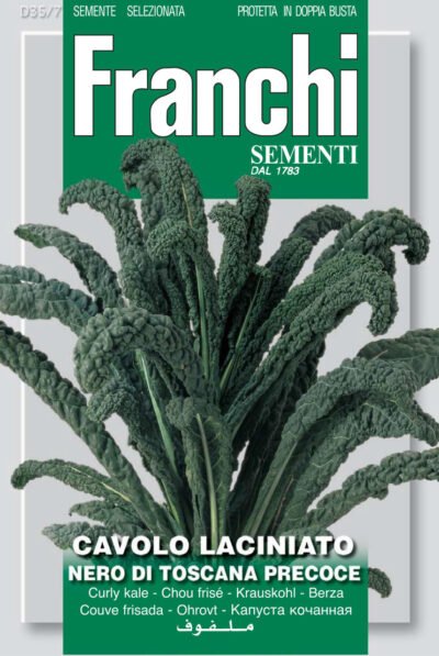 🌿 Cavolo Nero ‘Lacinato di Toscana’ Seeds – Tuscan Black Kale by Franchi Seeds