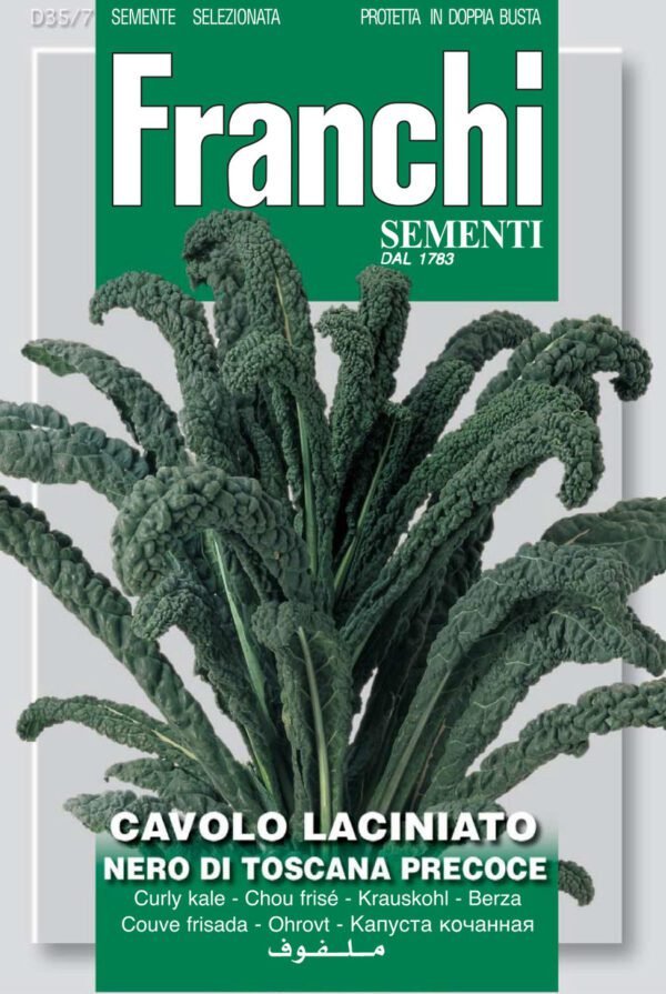 Cavolo Nero ‘Lacinato di Toscana’ Seeds – Tuscan Black Kale by Franchi Seeds