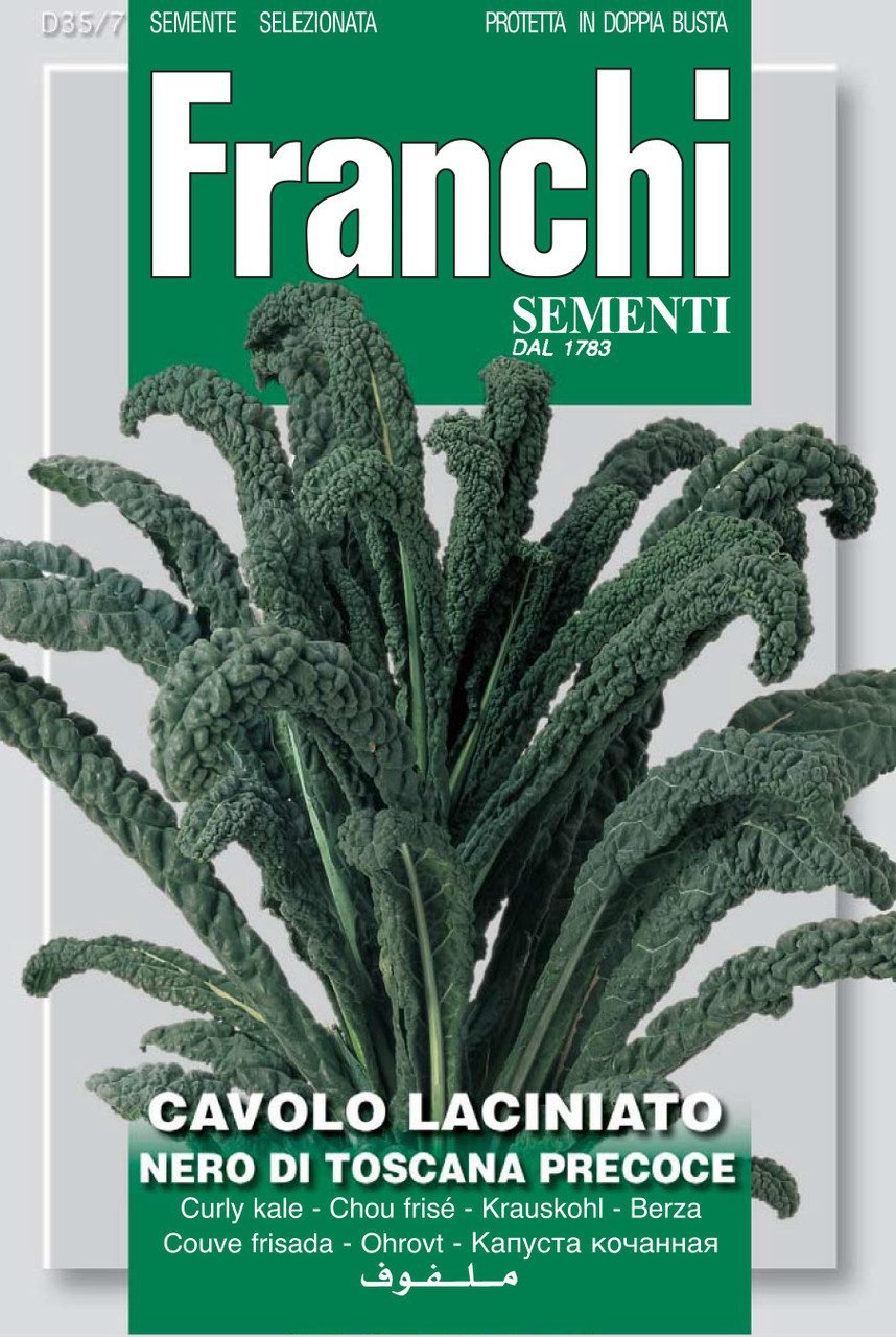 Cavolo Nero Lacinato di Toscana Seeds Tuscan Black Kale by Franchi Seeds