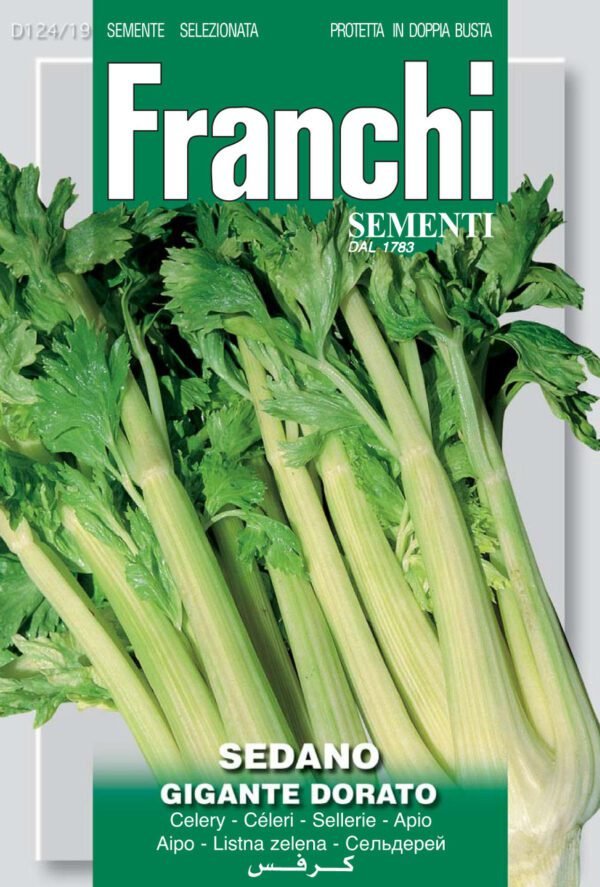 Celery 'Gigante Dorato' Seeds | Golden Alpine Heritage Celery | Franchi Seeds