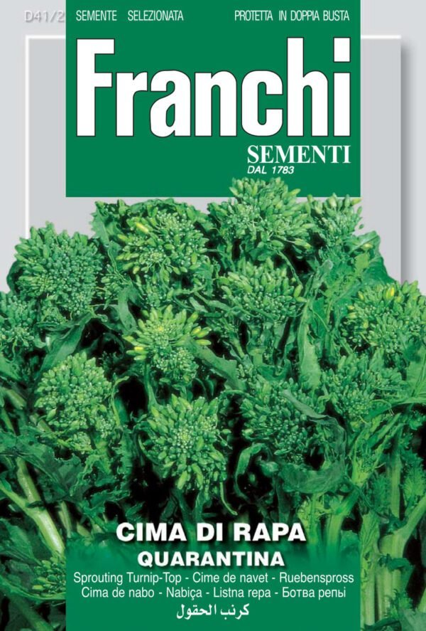 Cima Di Rapa '40 Days' Seeds Fast-Harvest Broccoli Raab