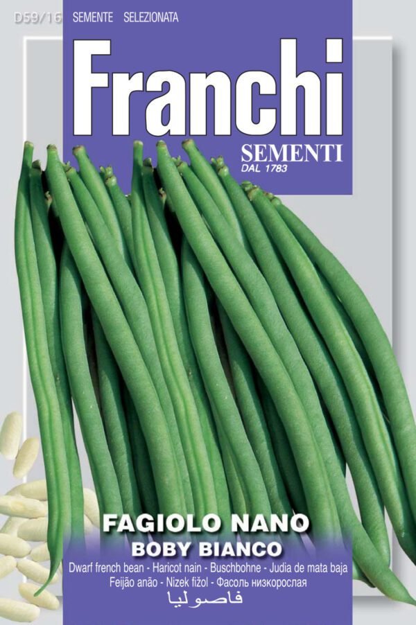 Dwarf French Bean Boby Bianco – Heritage Variety by Franchi Seeds