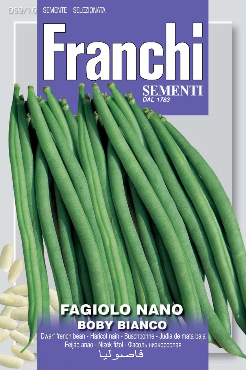 Dwarf French Bean Boby Bianco Heritage Variety by Franchi Seeds