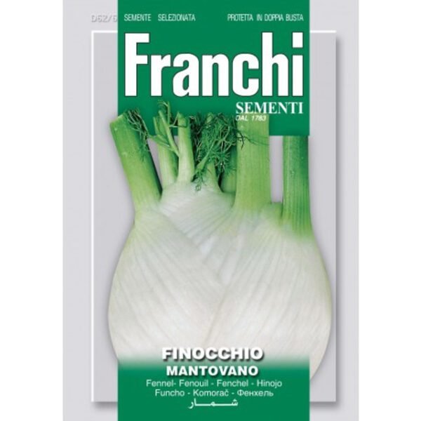Fennel 'Mantovano' Seeds Heritage Bulbing Fennel