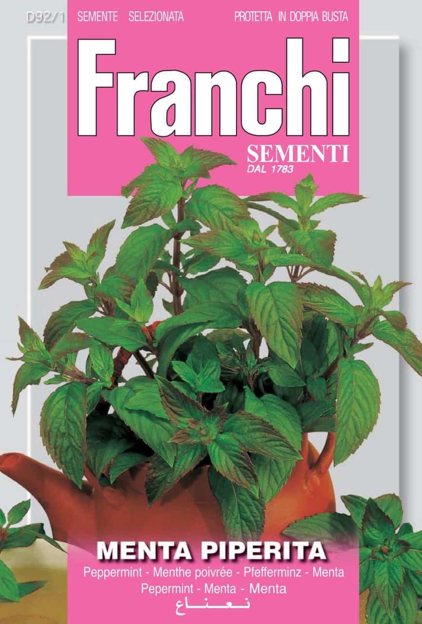 Peppermint Seeds Mentha piperita by Franchi Seeds