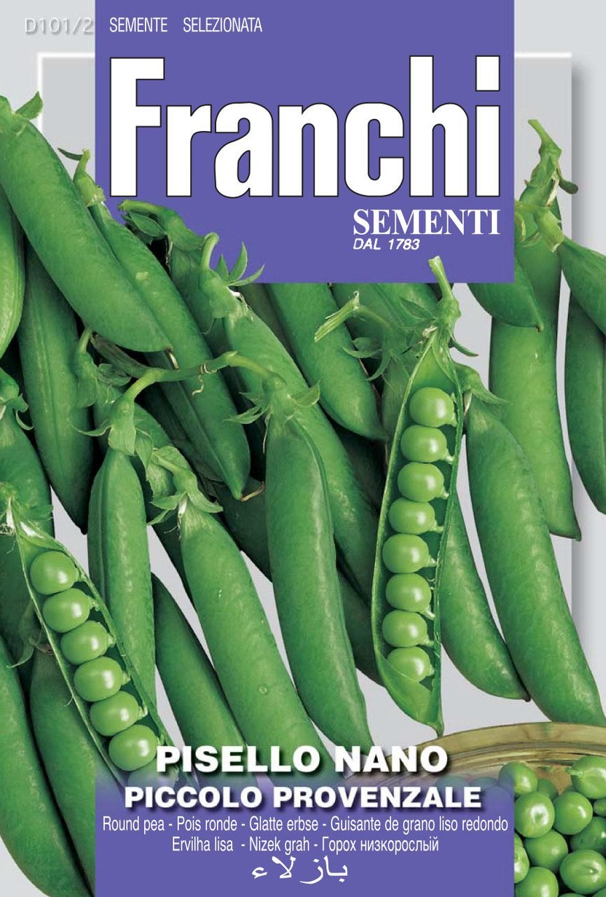 Dwarf Pea Piccolo Provenzale Heritage Variety by Franchi Seeds
