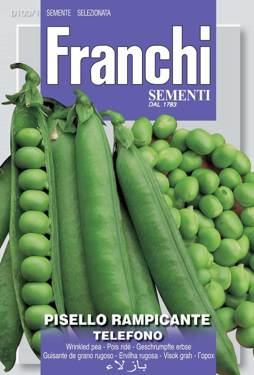 Climbing Pea Telefono (A) Heritage Variety by Franchi Seeds