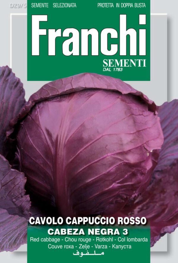 Red Cabbage 'Tête Noire 3' Seeds Frost-Resistant Winter Cabbage