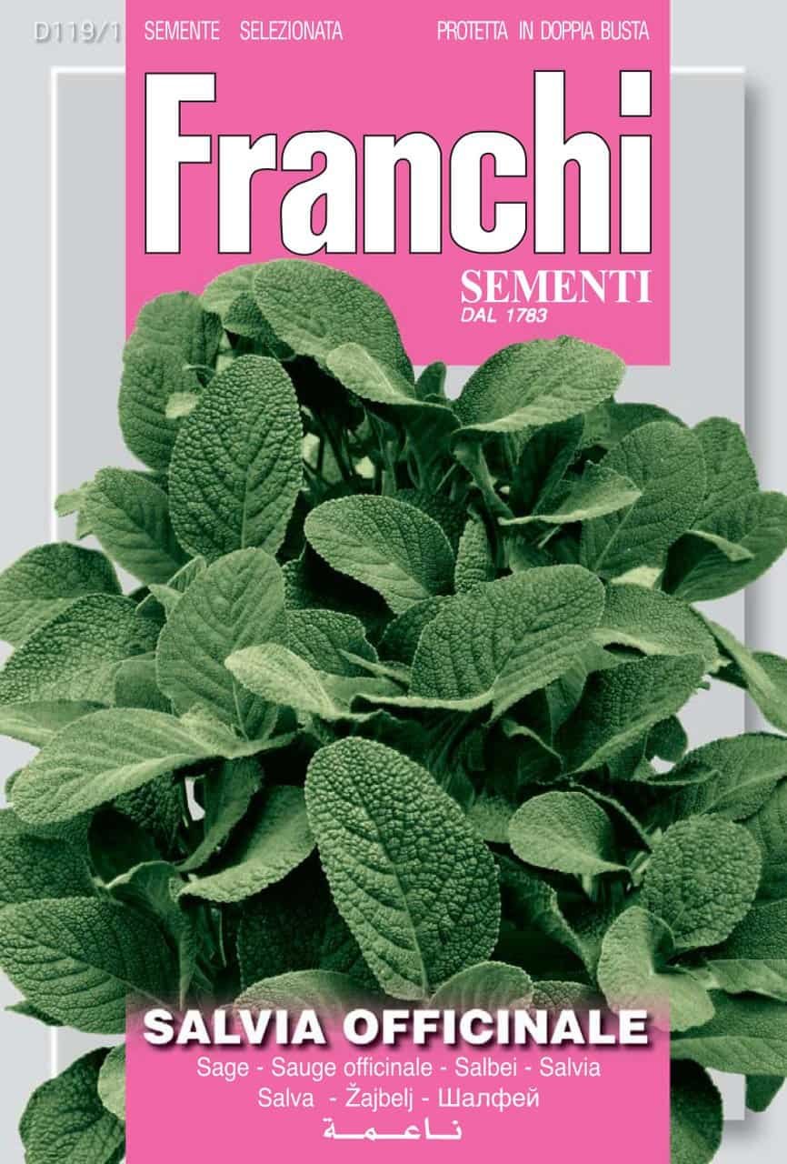 Sage Seeds Salvia officinalis by Franchi Seeds