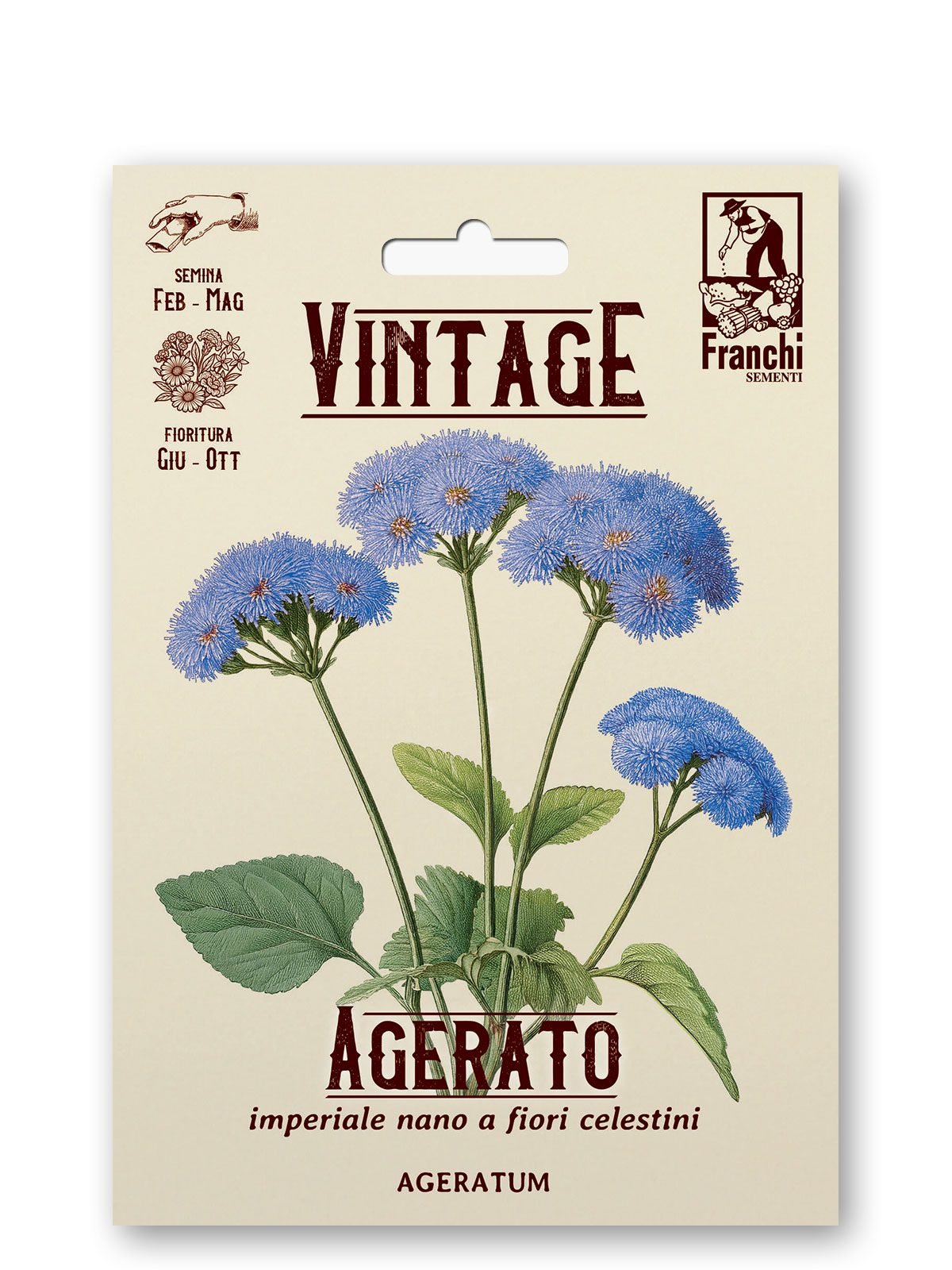 Ageratum Nano Blu Star Vintage 1928 Flower Seeds Franchi Seeds