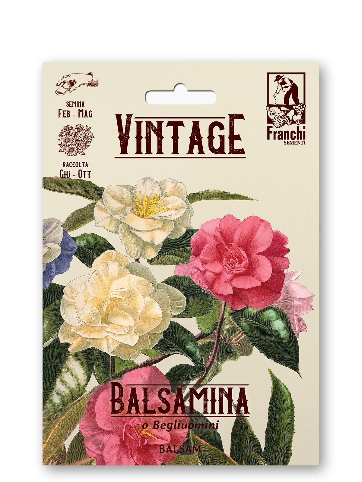 Balsamina a Fior di Camelia Vintage 1928 Flower Seeds Franchi Seeds