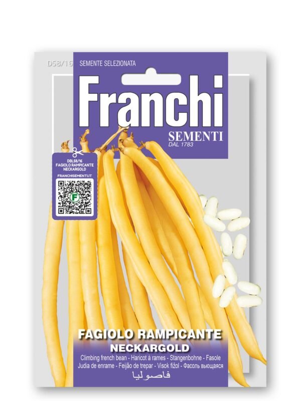 Neckargold Climbing French Bean Seeds | Long Stringless Yellow Pods | Vigorous, High‑Yielding Variety