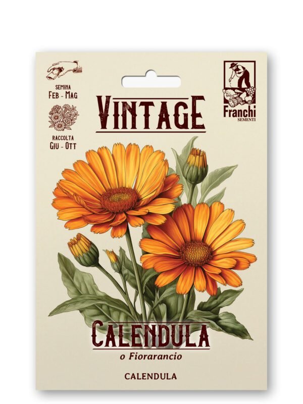 CALENDULA Calendula a Fiore Semplice Arancio Vintage Flower Seeds | Annual Hardy Blooms | Italian Heirloom 1928