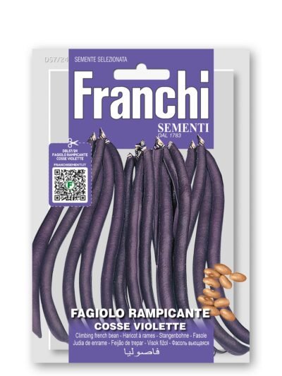 🌿 Purple‑Podded Climbing French Bean Seeds | A Cosse Violette Sans Fil | Stringless Tender Pods