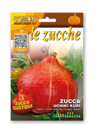 Uchiki Kuri Squash Seeds – Japanese Red Kuri Heirloom