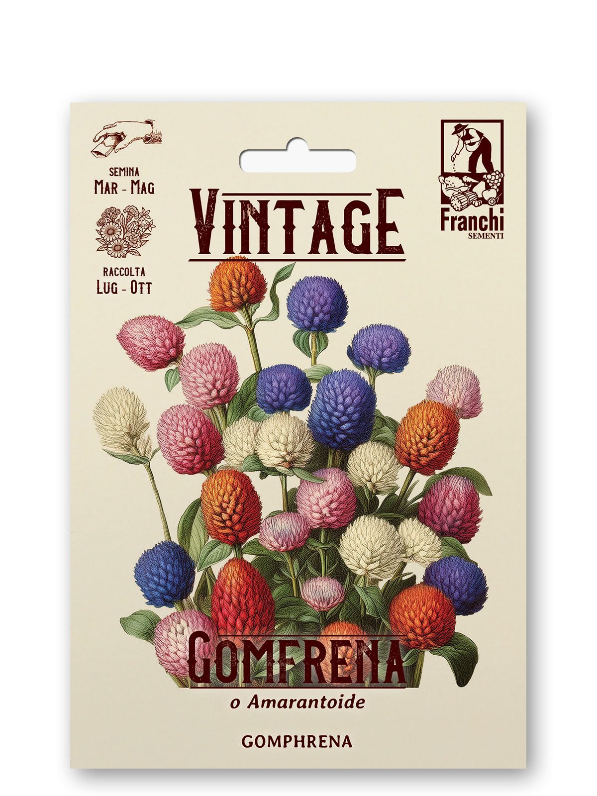 Gomphrena Globosa Multicolor Vintage 1928 Flower Seeds Franchi Seeds