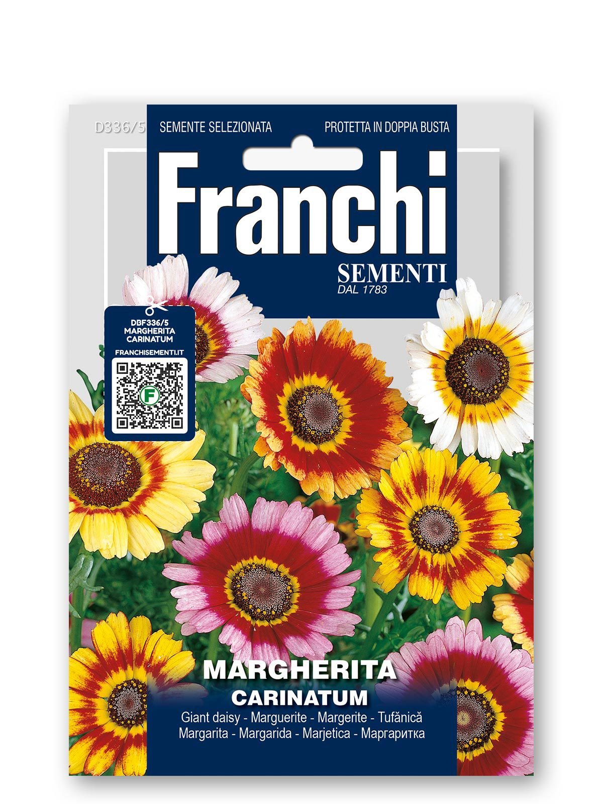 Margherita Carinatum Mix Seeds | Giant Multicolour Daisy