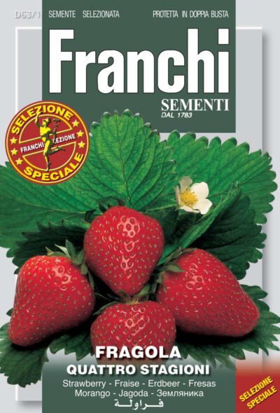 🍓Strawberry ‘Quattro Stagioni’ Seeds | Alpine 4 Seasons Variety | Sweet Everbearing Fragaria Vesca