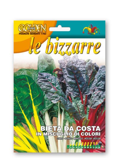 🌈 Swiss Chard Colour Mix Seeds | Vibrant Stems & Dark Green Leaves | Productive Cut‑and‑Come‑Again Variety