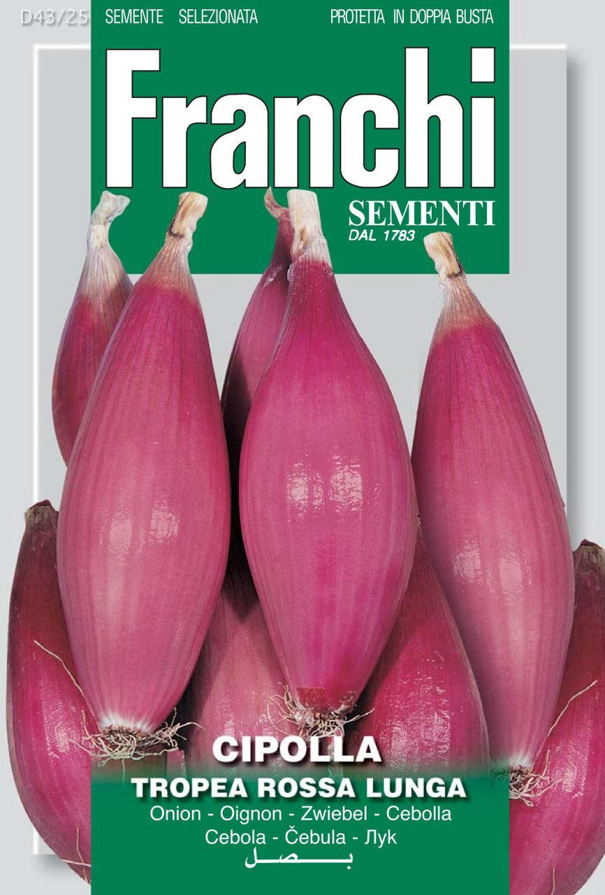 Long Red Onion Tropea Rossa Lunga Seeds | Sweet Calabrian Heritage Variety