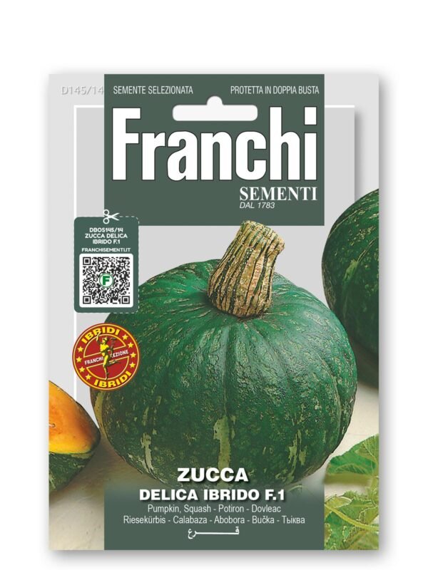 Delica F1 Squash Seeds | Dark Green Kabocha‑Type Pumpkin | Sweet Chestnut‑Flavoured Orange Flesh