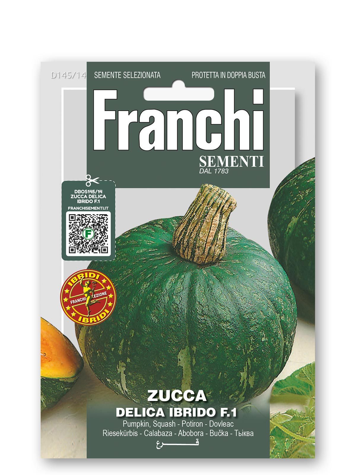 Delica F1 Squash Seeds | Dark Green KabochaType Pumpkin