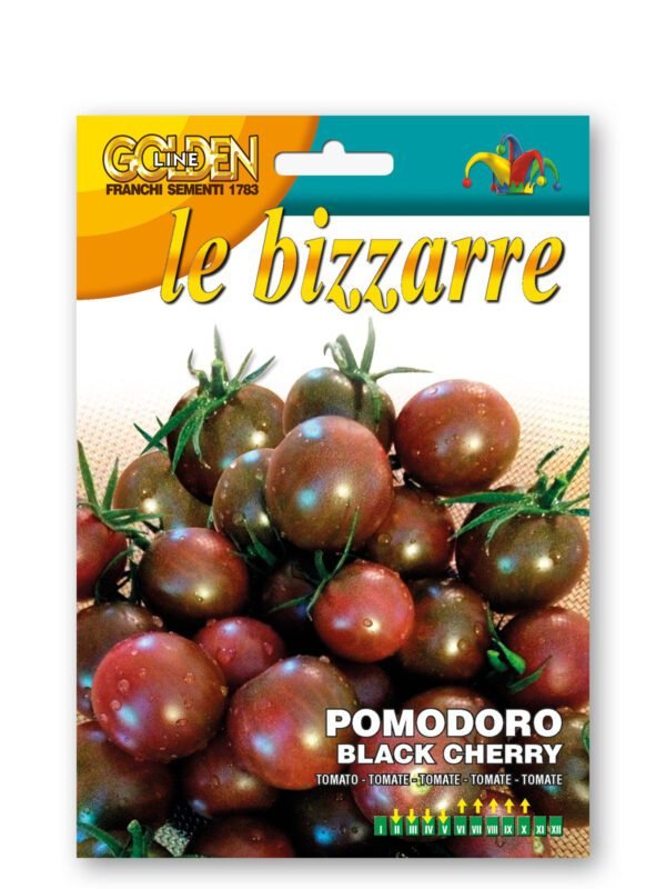 black cherry Tomato ‘Black Cherry’ Seeds | Early Sweet Dark Cherry Tomato | Indeterminate Heirloom Type