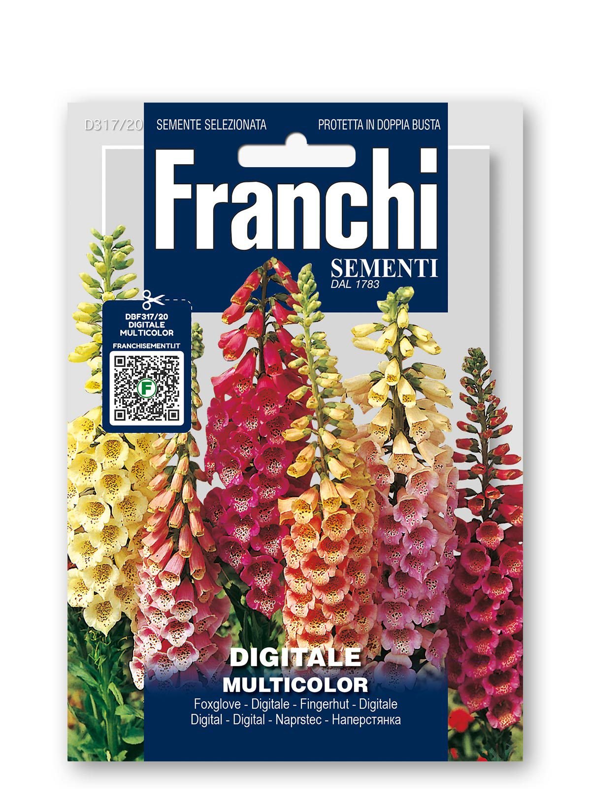 Foxglove Digitale Multicolor Seeds | Tall Biennial Spikes
