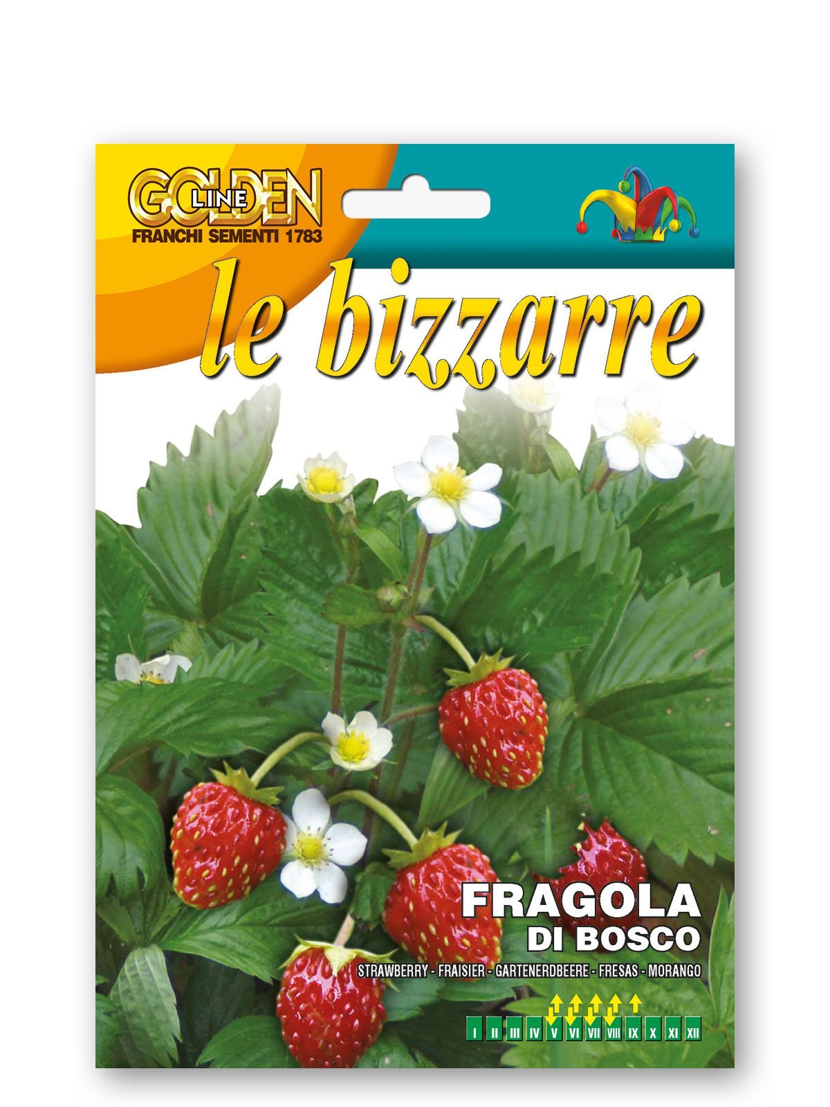 Wild Strawberry Seeds | Sweet Aromatic Woodland Variety