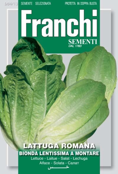 Lettuce ‘Romana Bionda | Blond-Green Romaine | Slow-to-Bolt Variety