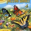 The Pollinator Garden