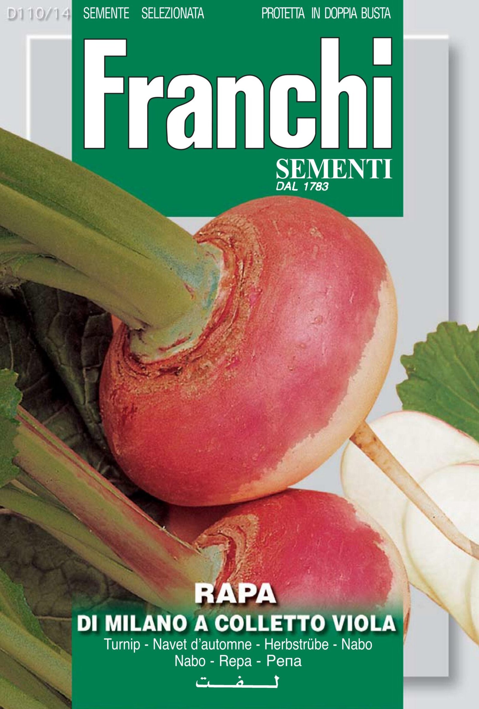 Purple Top Milan Turnip Seeds | Early Italian Heirloom