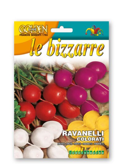 🌈 Mixed Colour Radish Seeds | Red, Yellow, White & Purple | Early, Crunchy & Slow to Go Woody