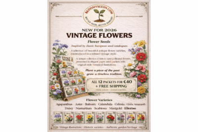 Vintage Flowers Bundle  12 Heirloom Flower Seeds Ireland