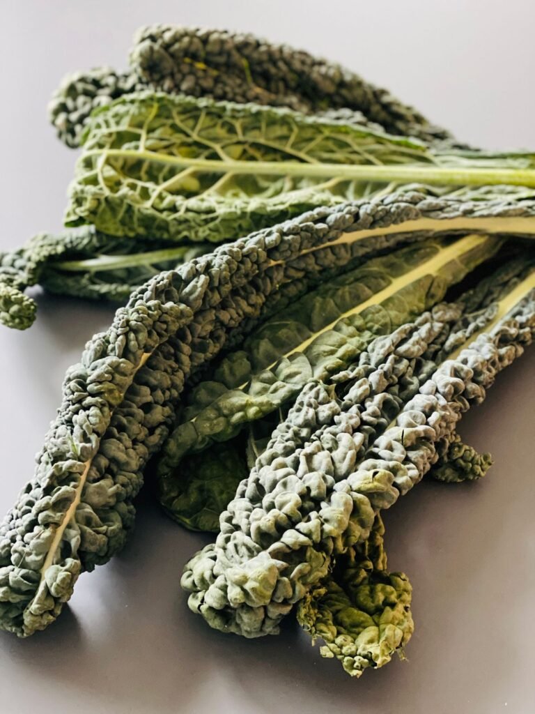 Cavolo Nero Lacinato kale leaves, dark and crinkled
